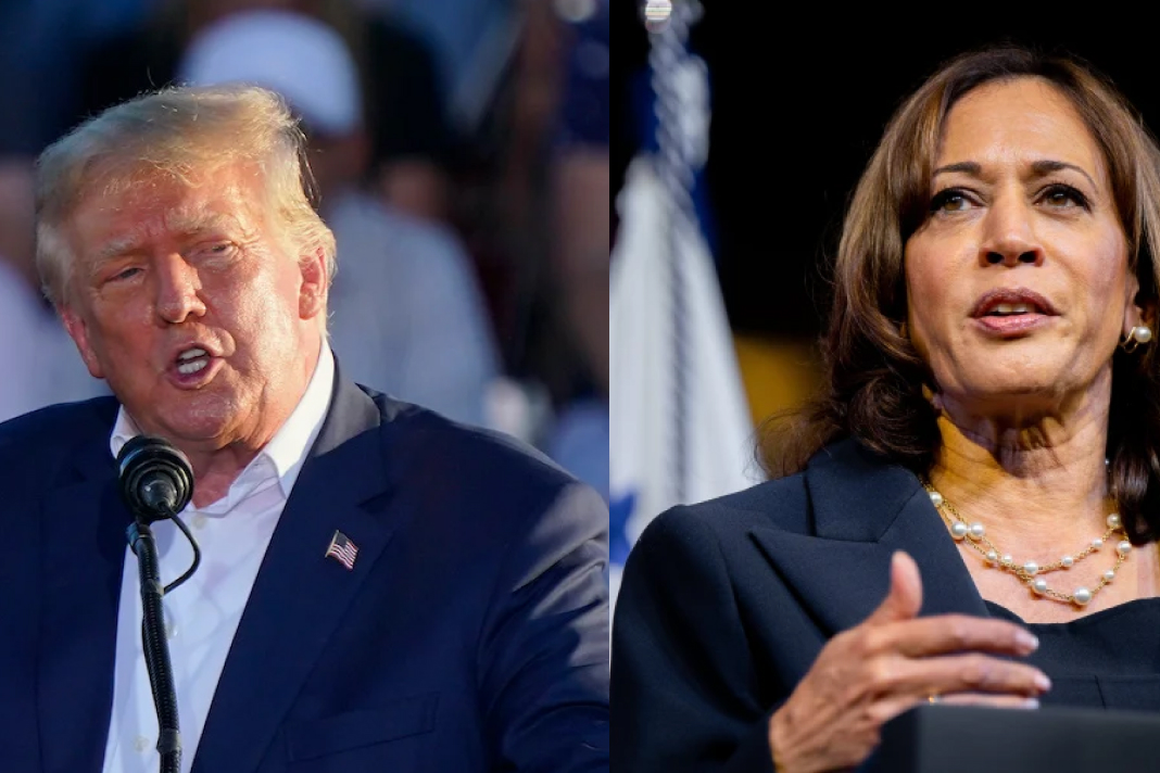 trump kamala