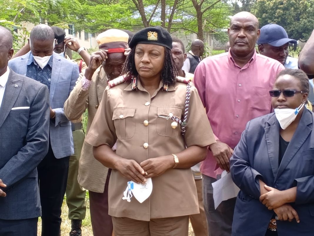 Government destroys bhang worth Sh30 million in Migori Government destroys bhang worth Sh30 million in Migori