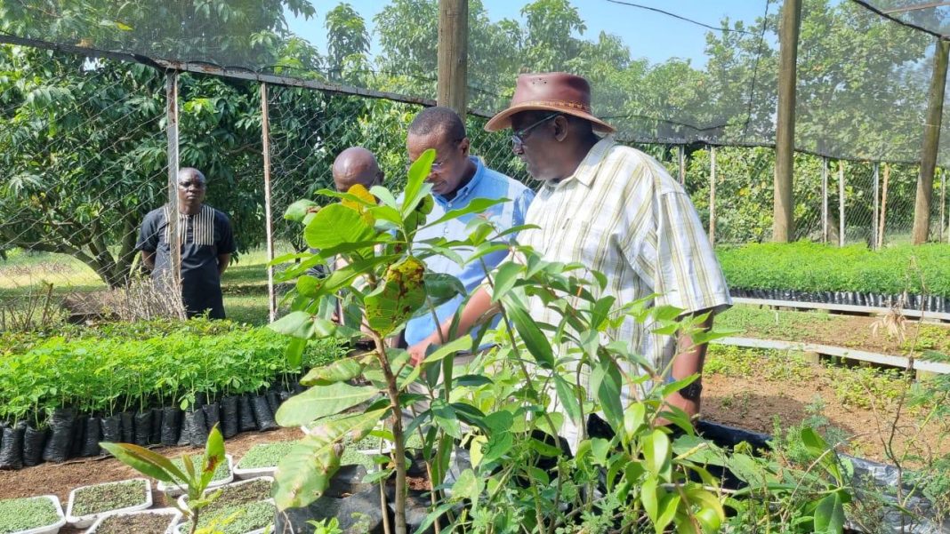 Re-awekening Coffee potential in Western Kenya to spur economy Re-awekening Coffee potential in Western Kenya to spur economy