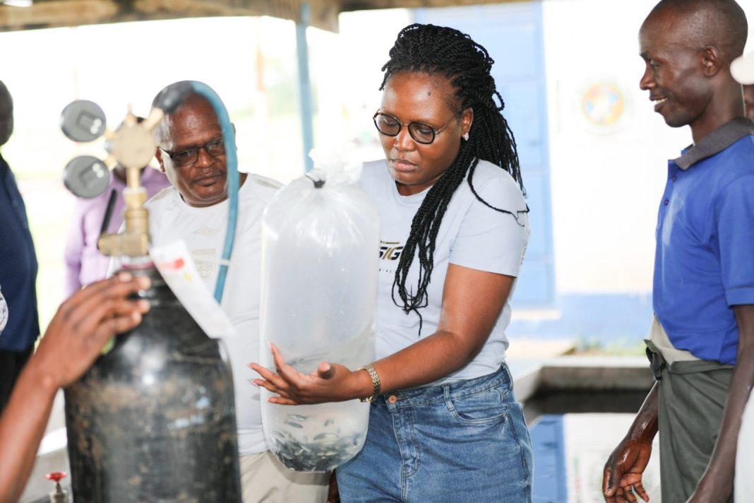 LBDA adopts innovative technologies to strengthen the aquaculture value chain LBDA adopts innovative technologies to strengthen the aquaculture value chain