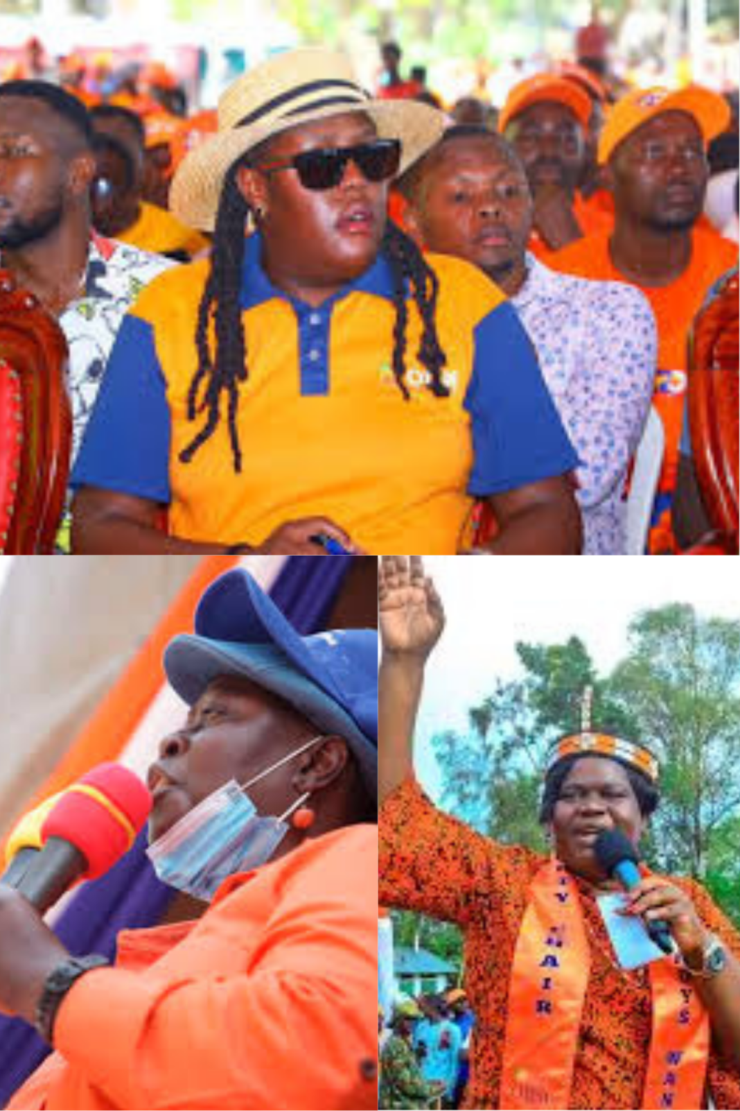From a Movement to a Mosaic: ODM at 20 and the Emerging Fault Lines From a Movement to a Mosaic: ODM at 20 and the Emerging Fault Lines