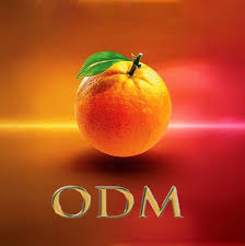 ODM Creed Under Siege as the Party Turns into a Theatre of Betrayal, Opportunism, and Violation of the Constitution ODM Creed Under Siege as the Party Turns into a Theatre of Betrayal, Opportunism, and Violation of the Constitution