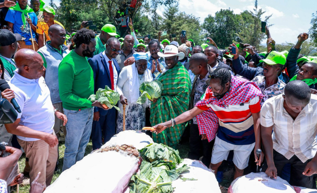Turning Nyanza into a laughing stock Turning Nyanza into a laughing stock