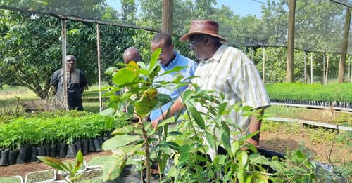 Why Kenya must change how to fund agriculture Why Kenya must change how to fund agriculture