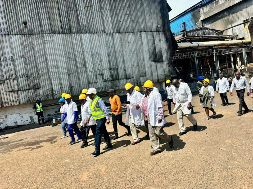 Local Millers Want Stringent Measures for Regulation of Sugar Imports Local Millers Want Stringent Measures for Regulation of Sugar Imports
